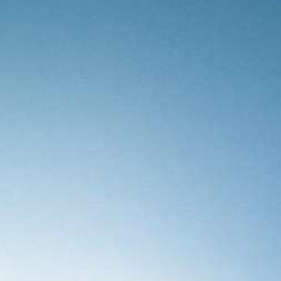 Meet your Posher, Dylan - Picture 1 of 1